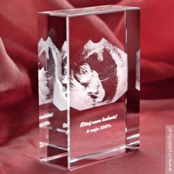 Zdjęcie 2.5D ze zdjęcia USG w krysztale