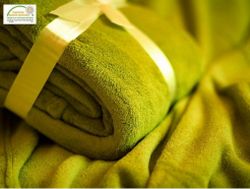 Koc CORAL zielona oliwka