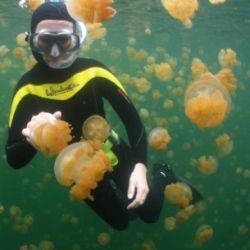 Zapoznanie z nurkowaniem